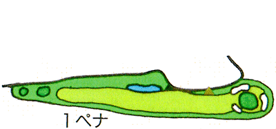 Large