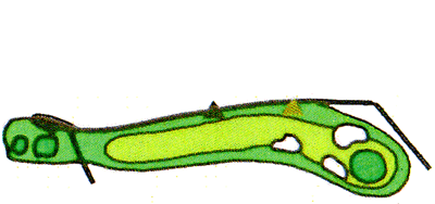 Large