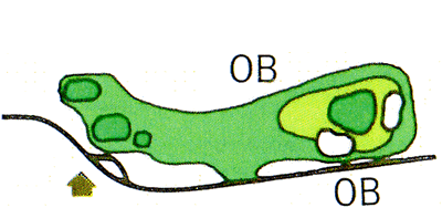 Large