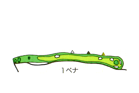 Small
