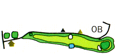 Large