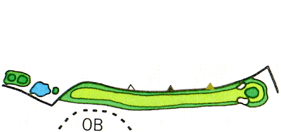 Large