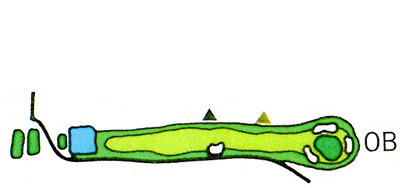 Large