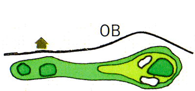 Large